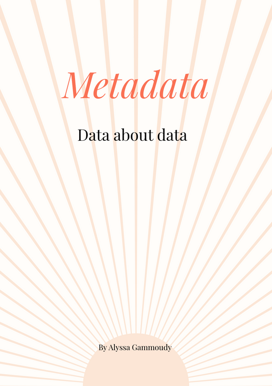 Meta Data checklist